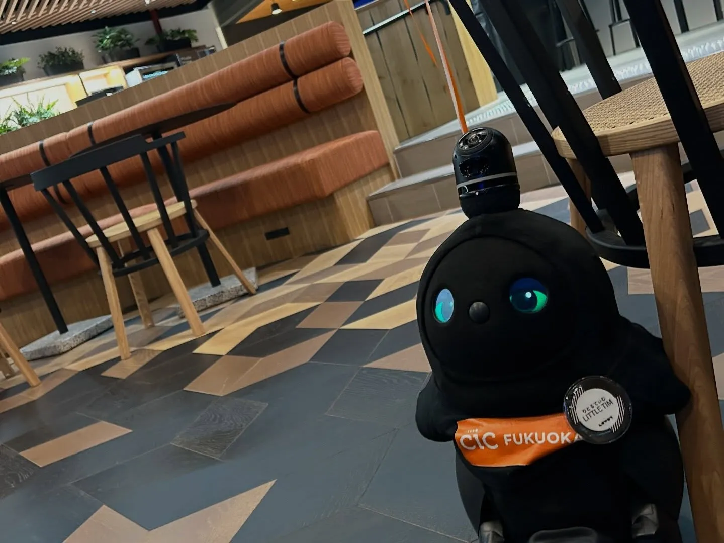 🎉@onefukuokabldg.official  @ci...