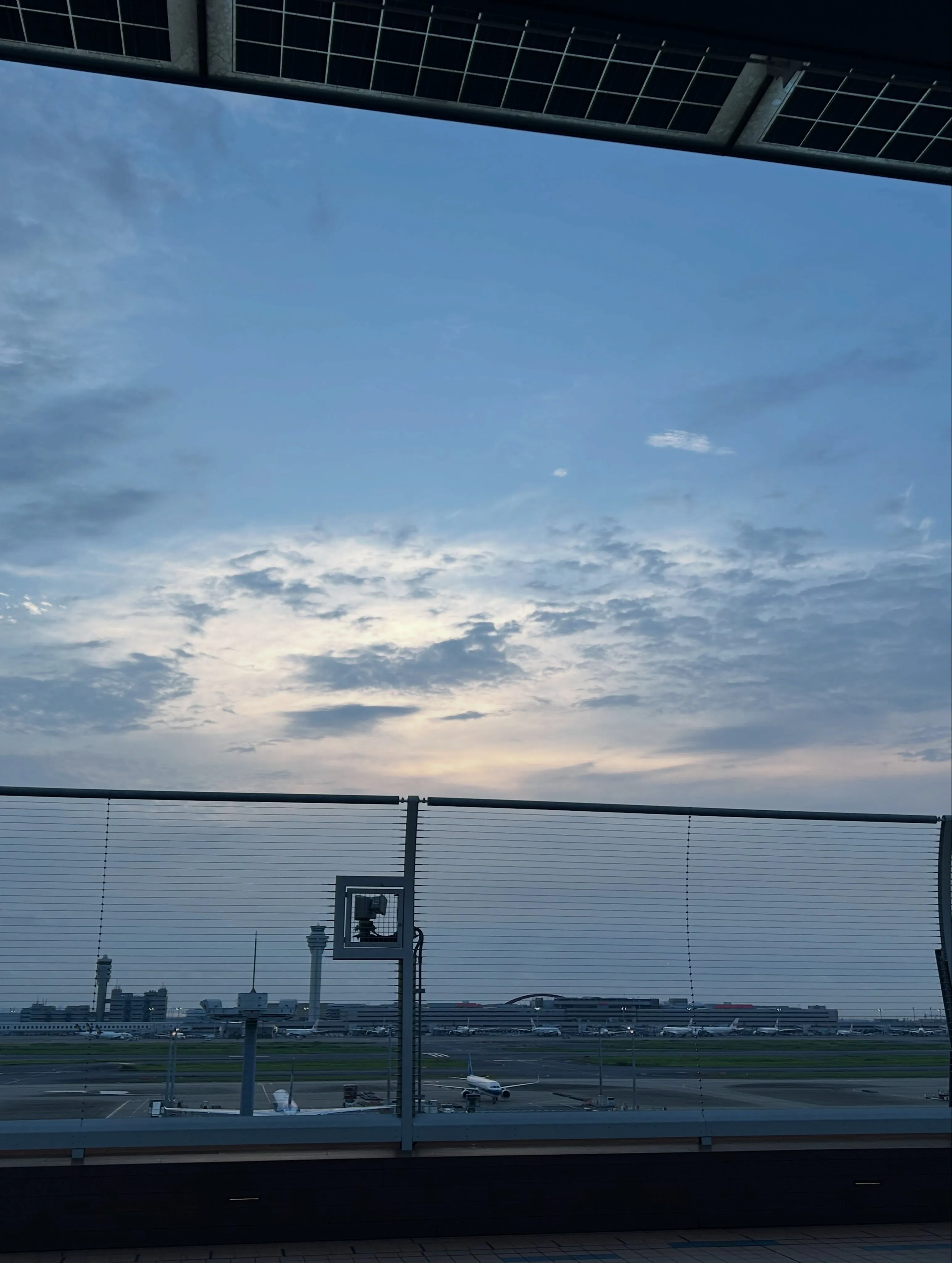 7月振り返り🌻