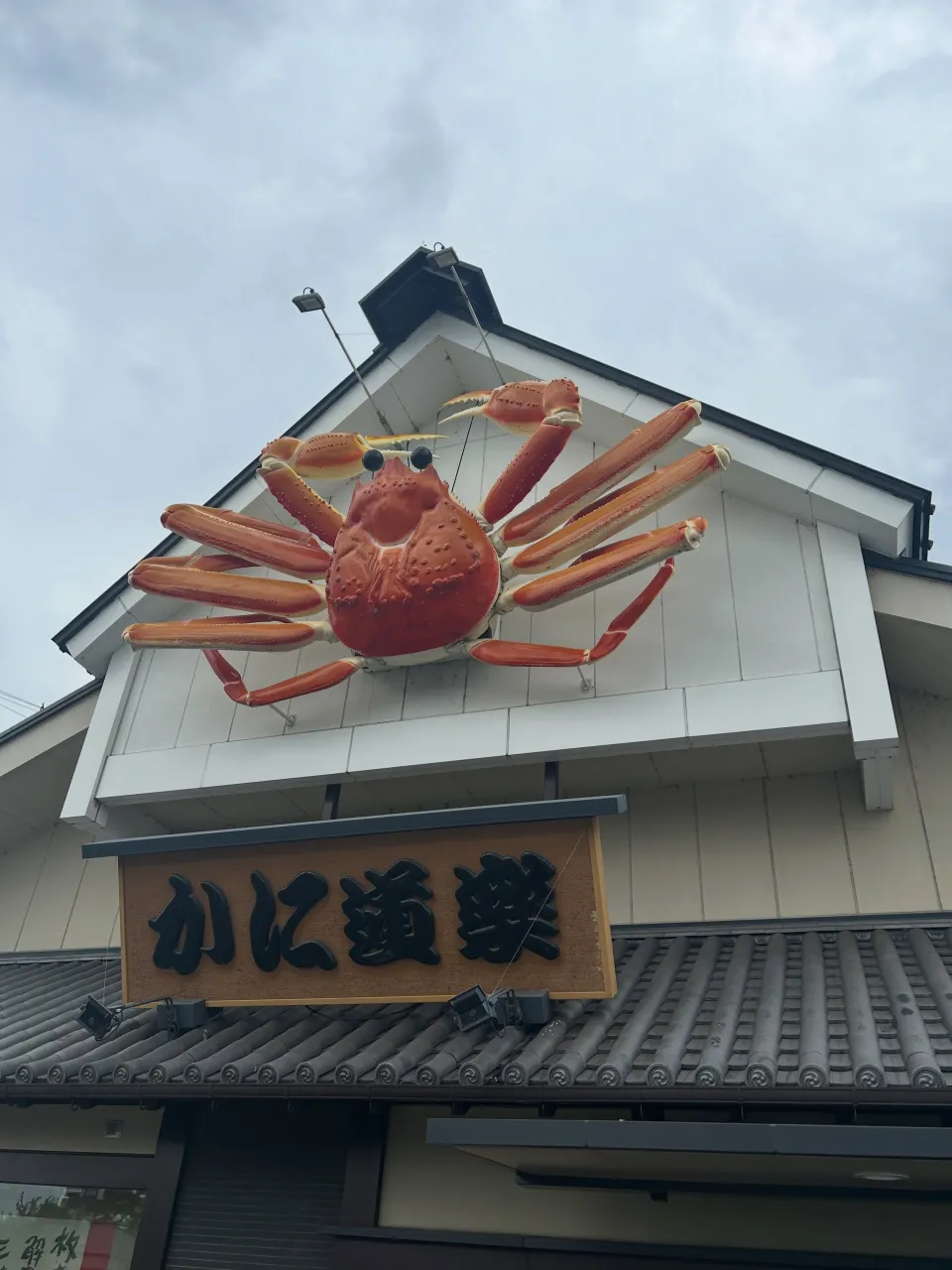 8月振り返り🌻