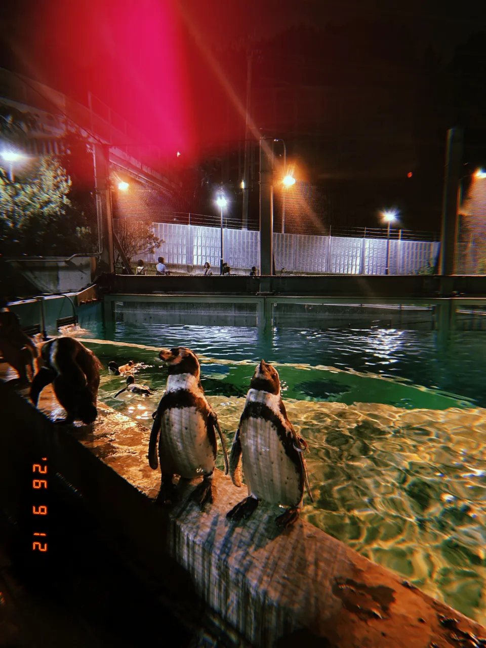 9月振り返り🍂