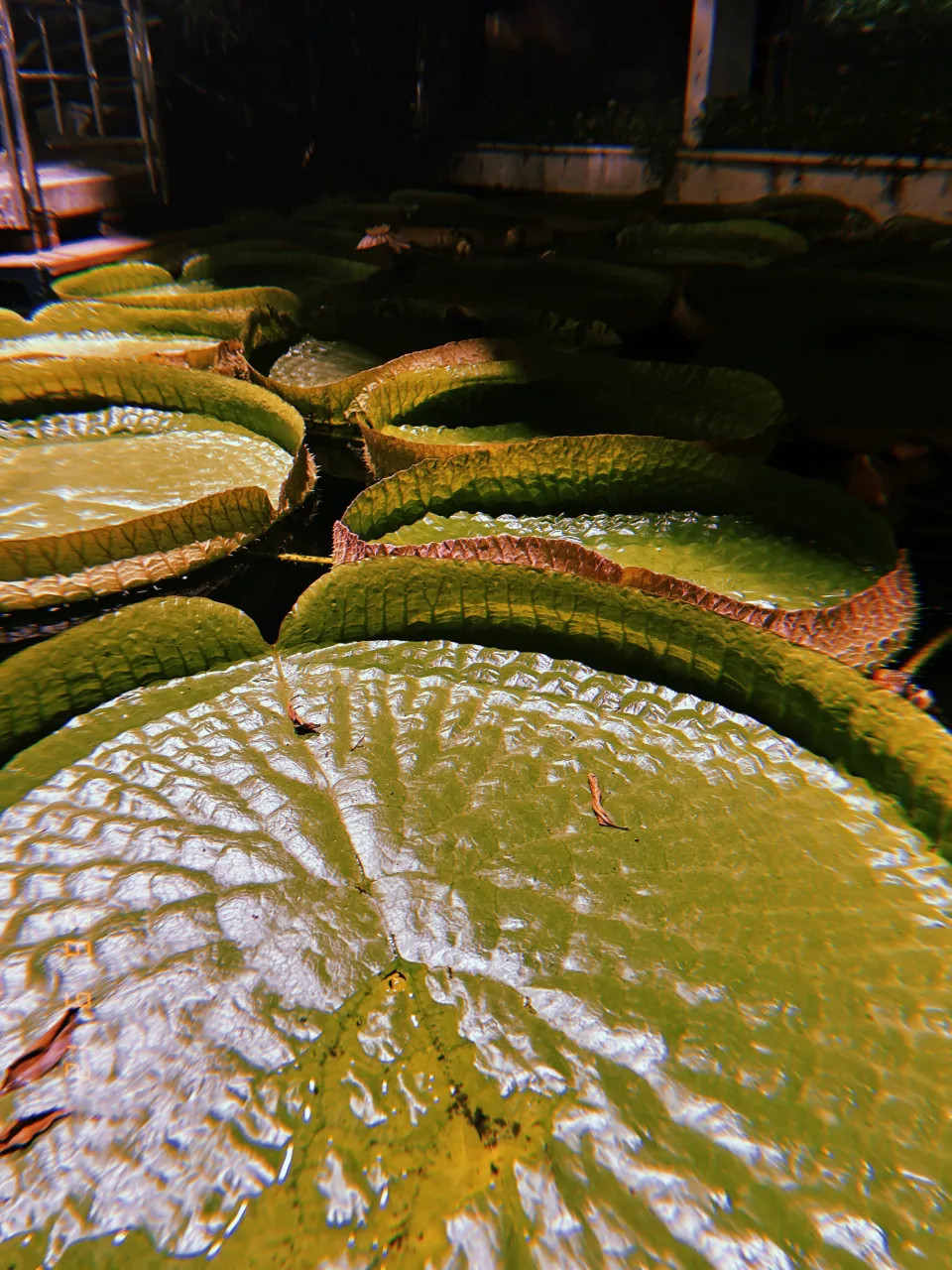 9月振り返り🍂