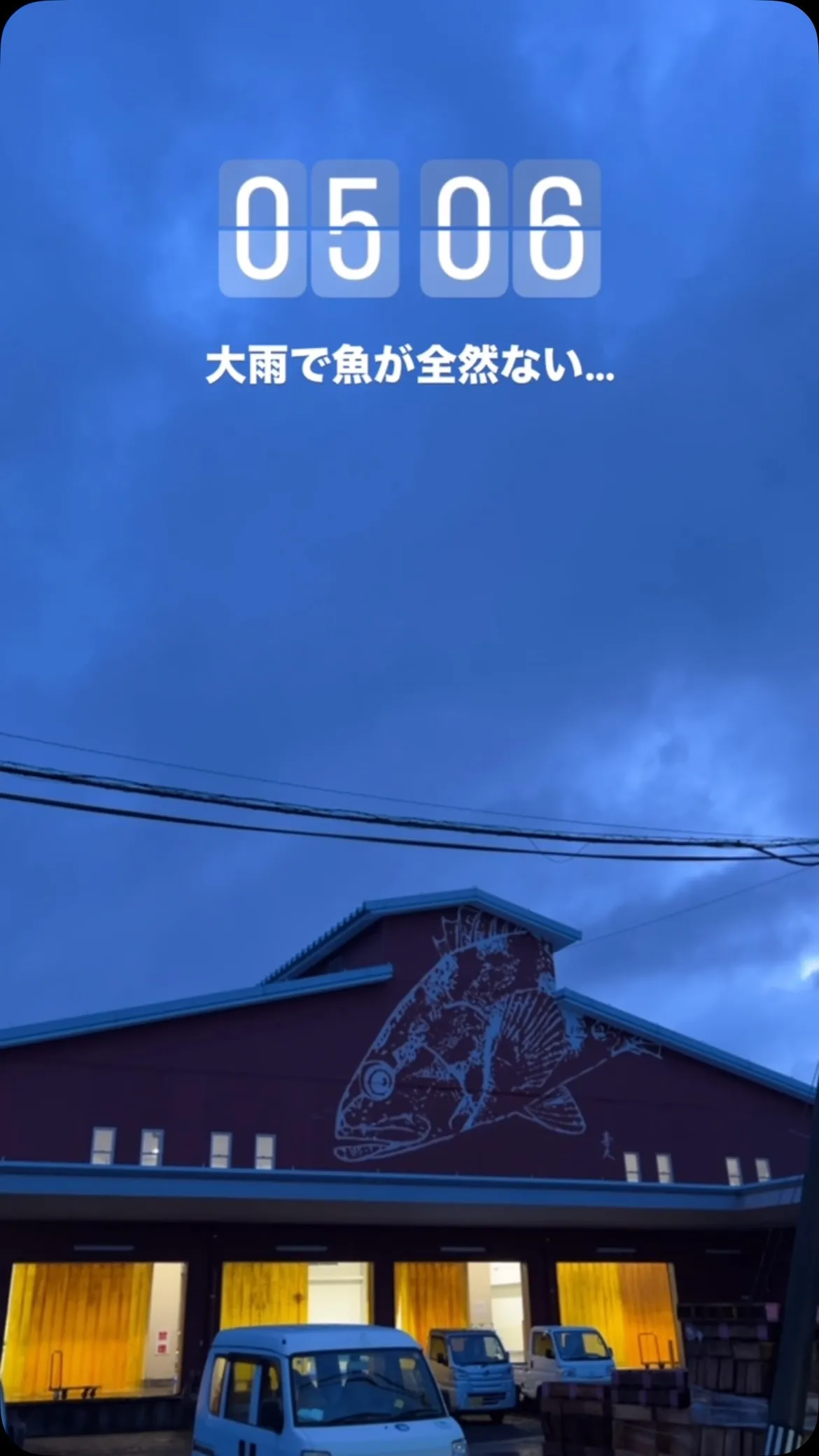 7月鮮魚市場仕入れ